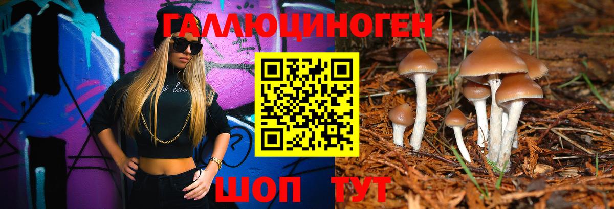 Галлюциногенные грибы прущие грибы Новоалександровск
